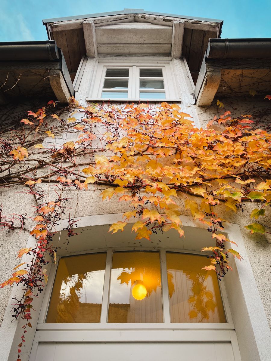 Hausfassade mit herbstlichem Laub und beleuchtetem Fenster